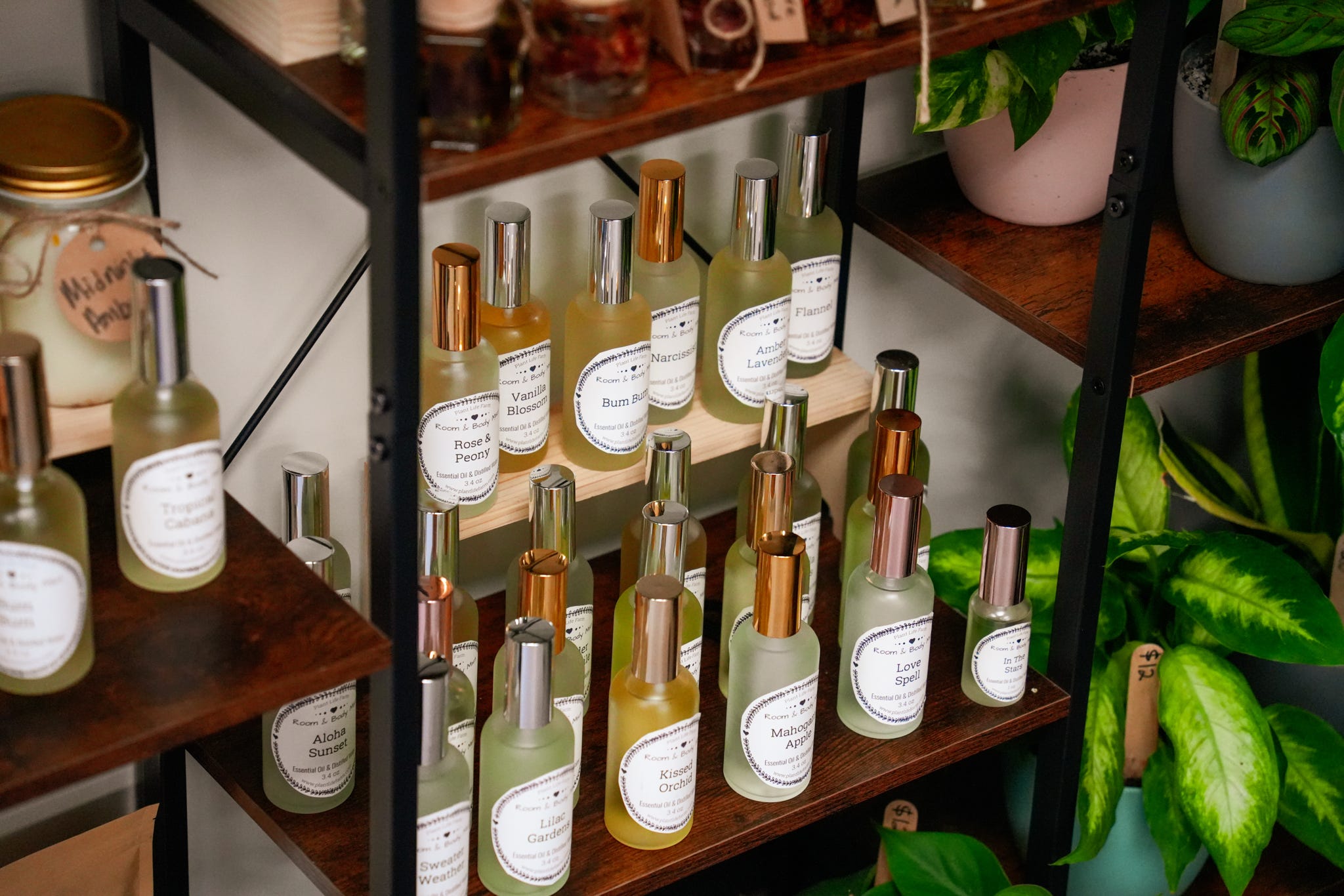 Bottles of local syrups and specialty drinks beside houseplants